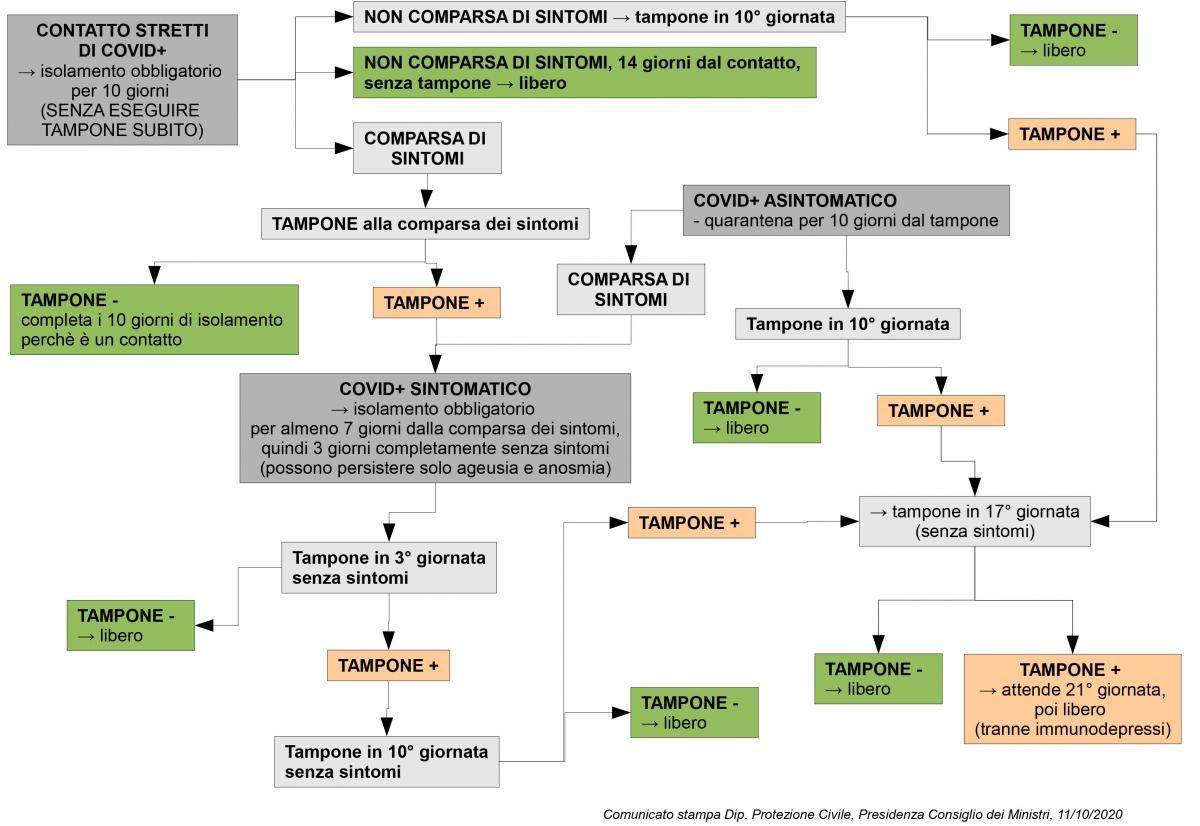 schema covid.jpg